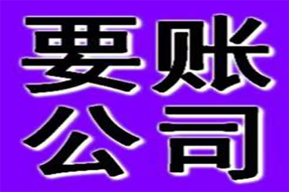 借款遭遇诈骗，法院判决有何依据？